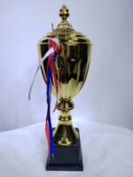 championship gold cup