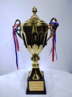 gold trophy cup with red white and blue ribbons